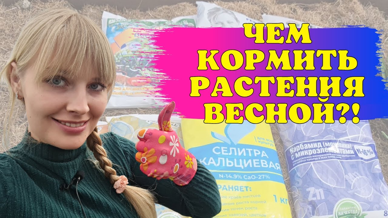 Лучшие способы подкормить растения весной