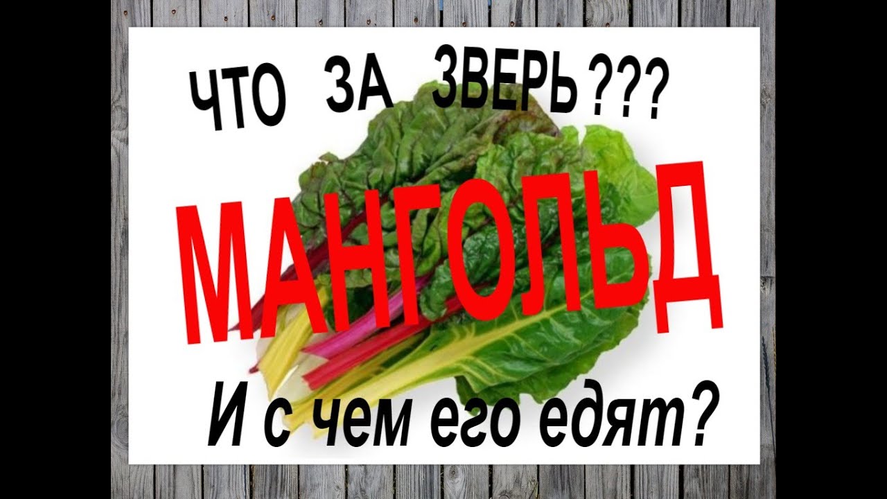 Польза мангольда для человека – здоровье и вкус в одном листочке